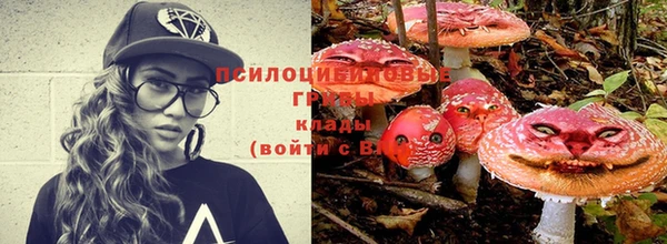 гашик Куйбышев