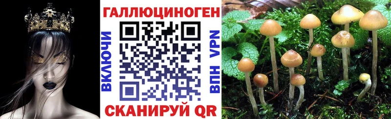 мега онион  цена наркотик  Нахабино  маркетплейс формула  Псилоцибиновые грибы Psilocybe 